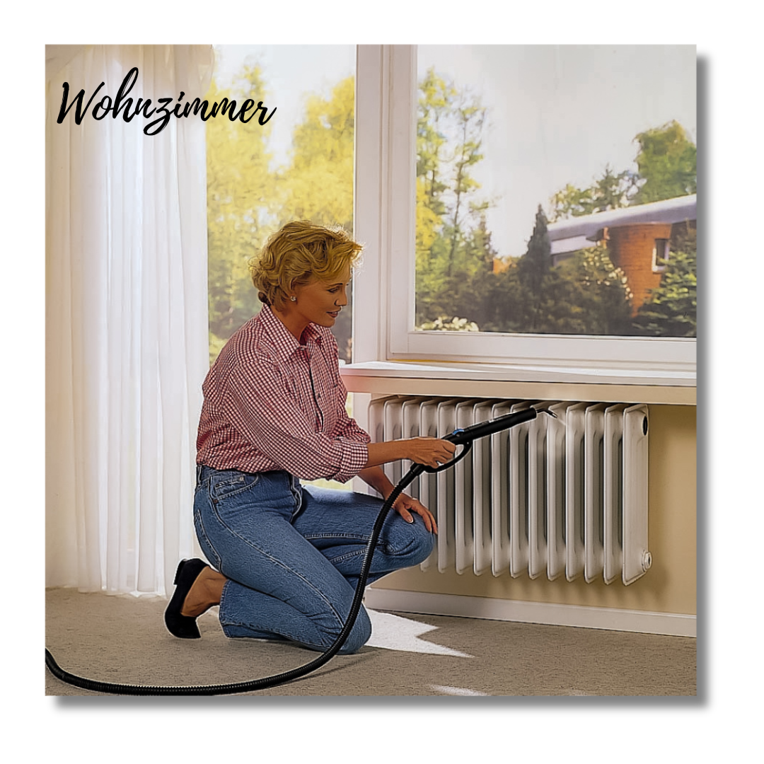 Tien Merlin Royal Dampfreiniger