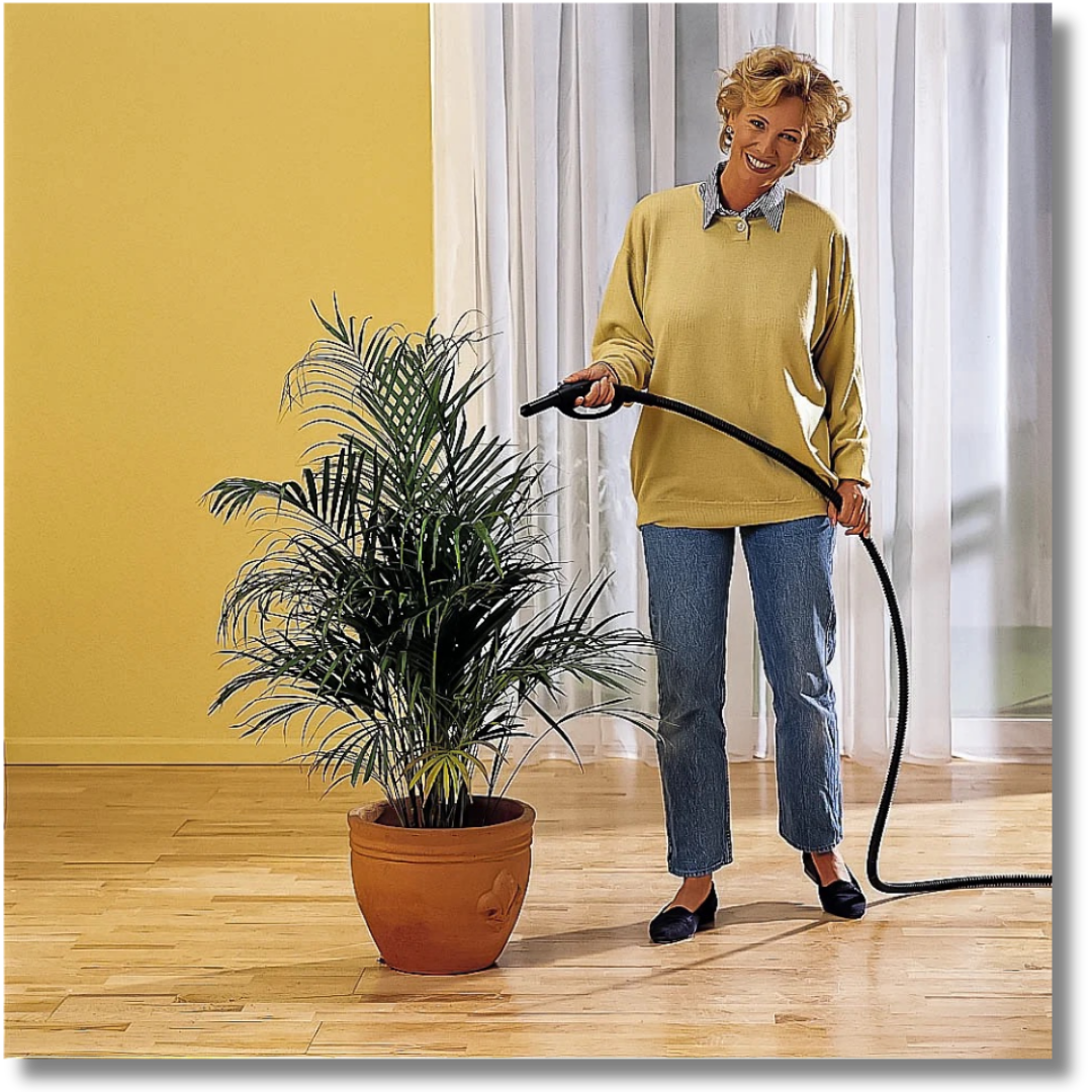 Merlin Royal Dampfreiniger Sets